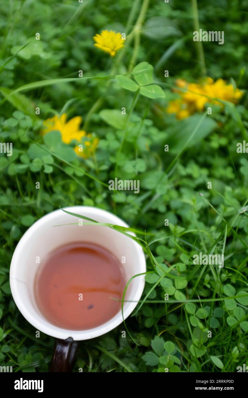 una tazza di tè nell'erba con fiori gialli sullo sfondo Foto Stock
