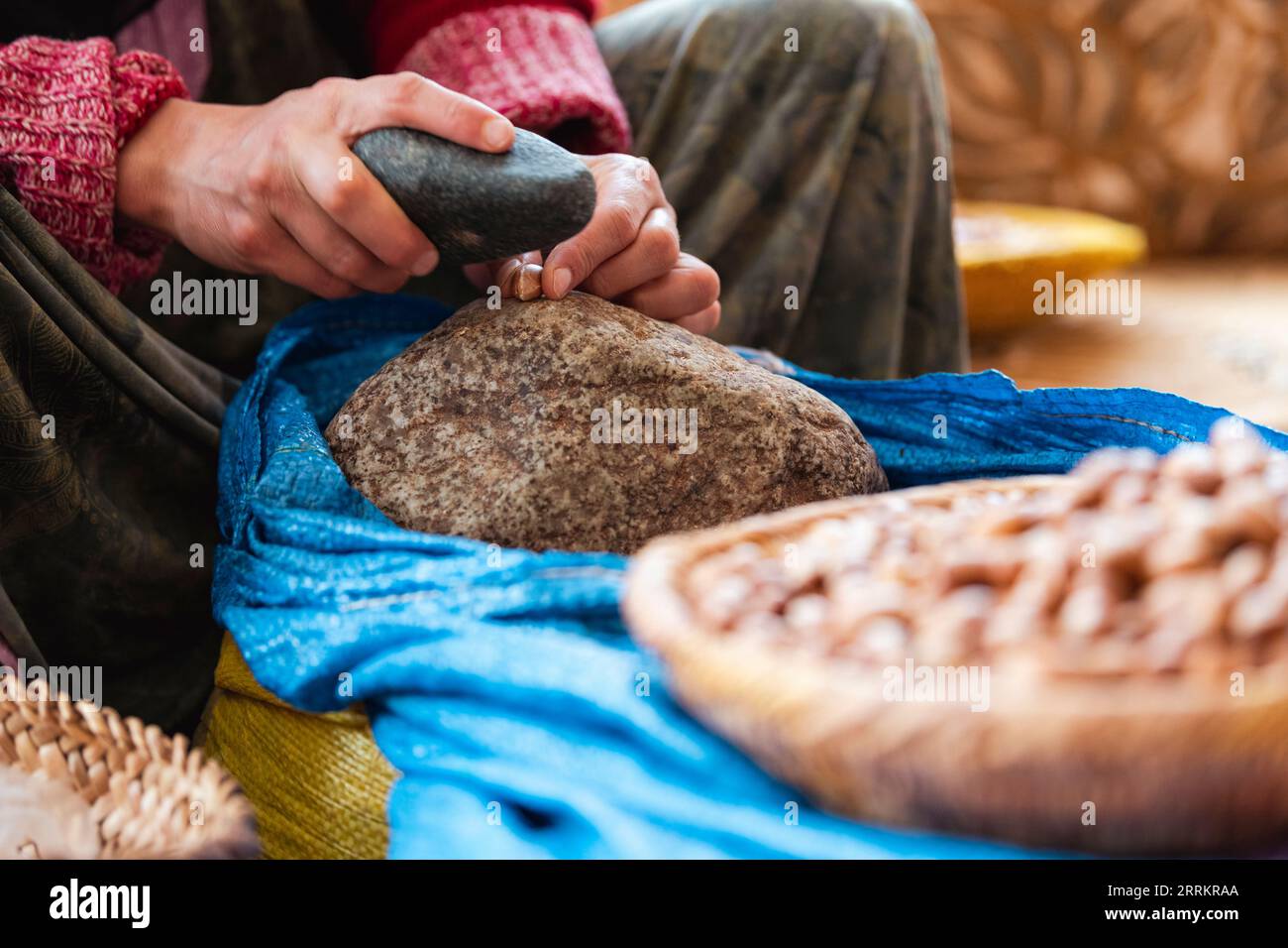 Marocco, produzione di olio di argan Foto Stock