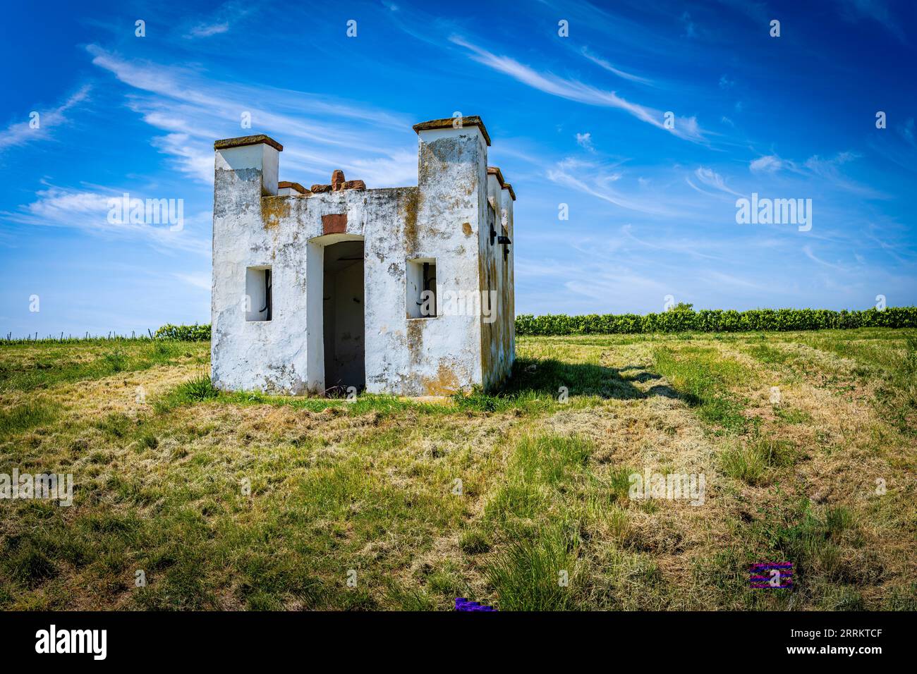 Cottage di vigneti sul cumulo di scorie vicino a Monsheim nel Rheinhessen, un rifugio in condizioni meteorologiche avverse, Renania-Palatinato, Germania Foto Stock
