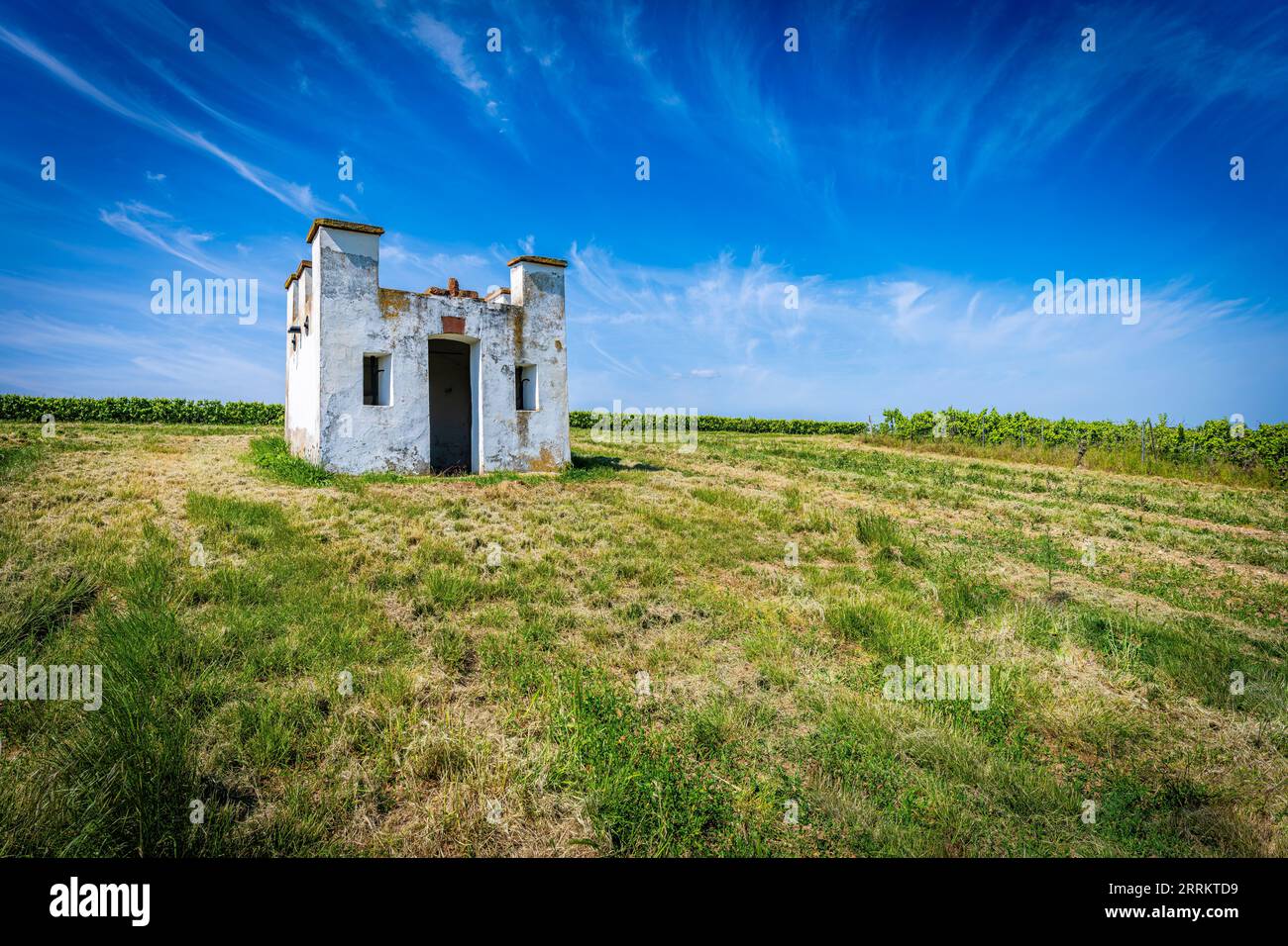 Cottage di vigneti sul cumulo di scorie vicino a Monsheim nel Rheinhessen, un rifugio in condizioni meteorologiche avverse, Renania-Palatinato, Germania Foto Stock
