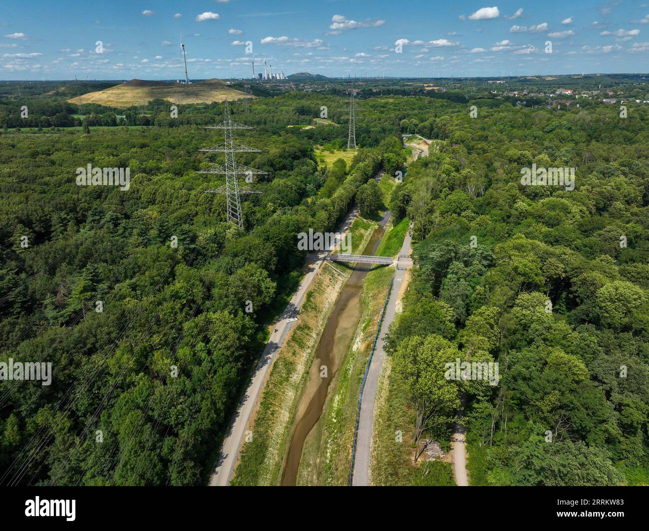 Bottrop, Renania settentrionale-Vestfalia, Germania, rinaturalizzato Boye, affluente del fiume Emscher, fu trasformato in un corso d'acqua quasi naturale, flo Foto Stock