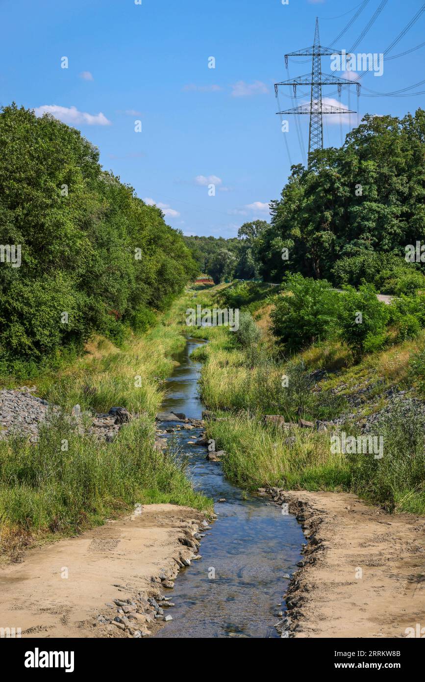 Bottrop, Renania settentrionale-Vestfalia, Germania, rinaturalizzato Boye, affluente del fiume Emscher, fu trasformato in un corso d'acqua quasi naturale, flo Foto Stock