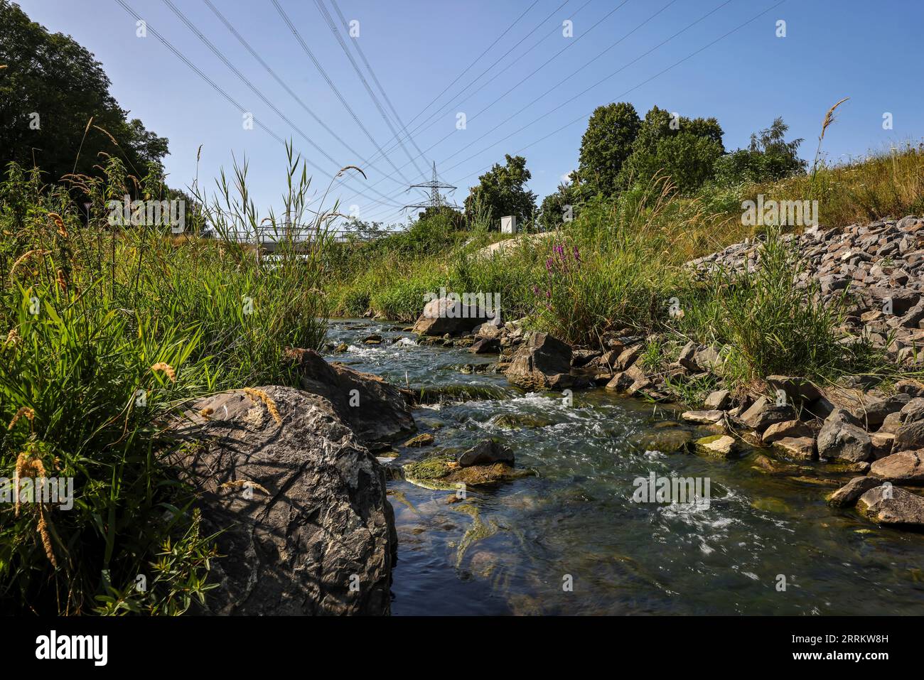 Bottrop, Renania settentrionale-Vestfalia, Germania, rinaturalizzato Boye, affluente del fiume Emscher, fu trasformato in un corso d'acqua quasi naturale, flo Foto Stock