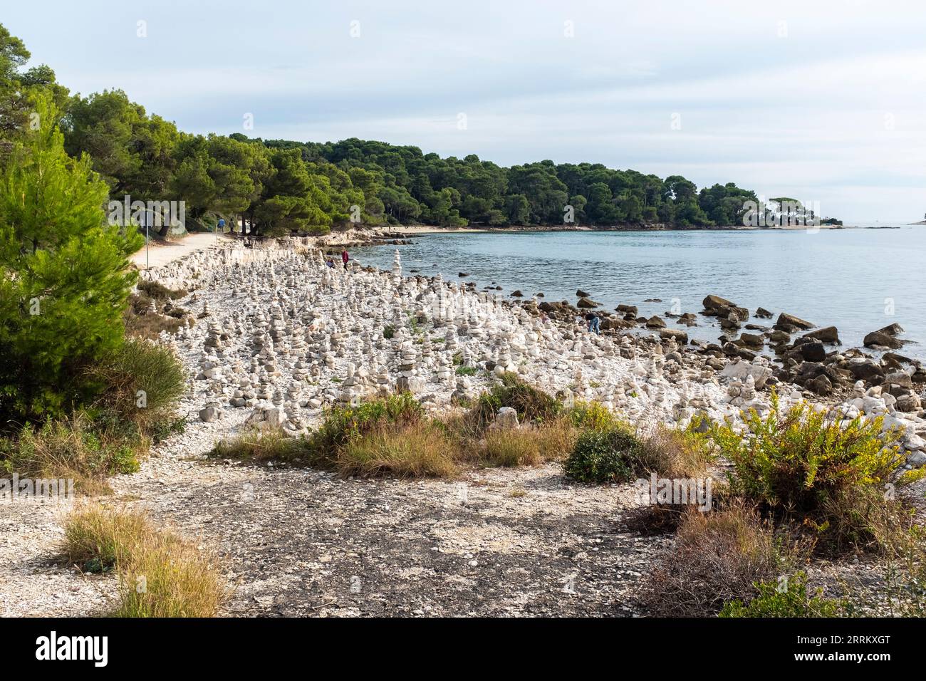 Una spiaggia con cumuli di rocce non lontano da Rovigno, Croazia Foto Stock