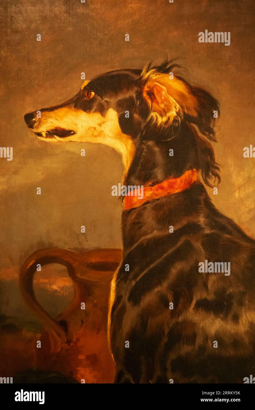 Dipinto intitolato 'A Saluki Dog' di Edwin Landseer datato 1844 Foto Stock