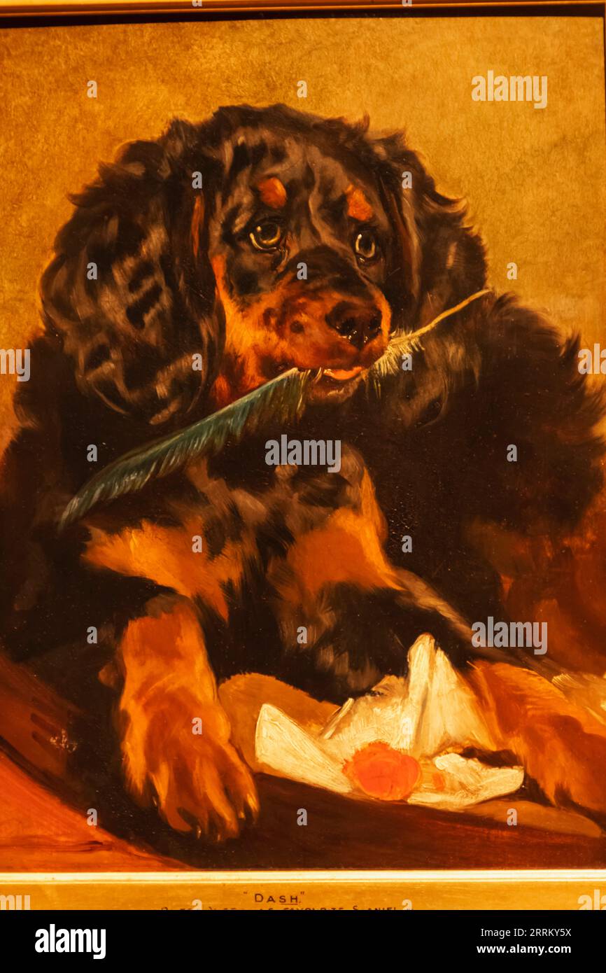 Dipinto dello spagnolo della regina Vittoria 'Tilco' di Edwin Landseer datato 1838 Foto Stock