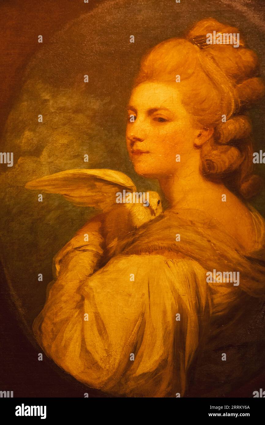 Ritratto della signora Nessitt con una colomba di Sir Joshua Reynolds Foto Stock