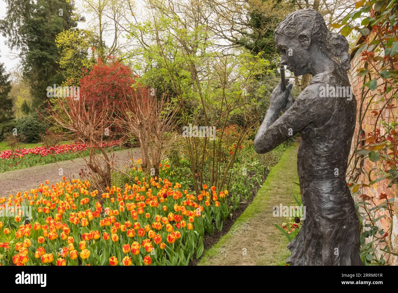 Inghilterra, Sussex, East Sussex, Pashley Manor Gardens, Tulips in Bloom Foto Stock