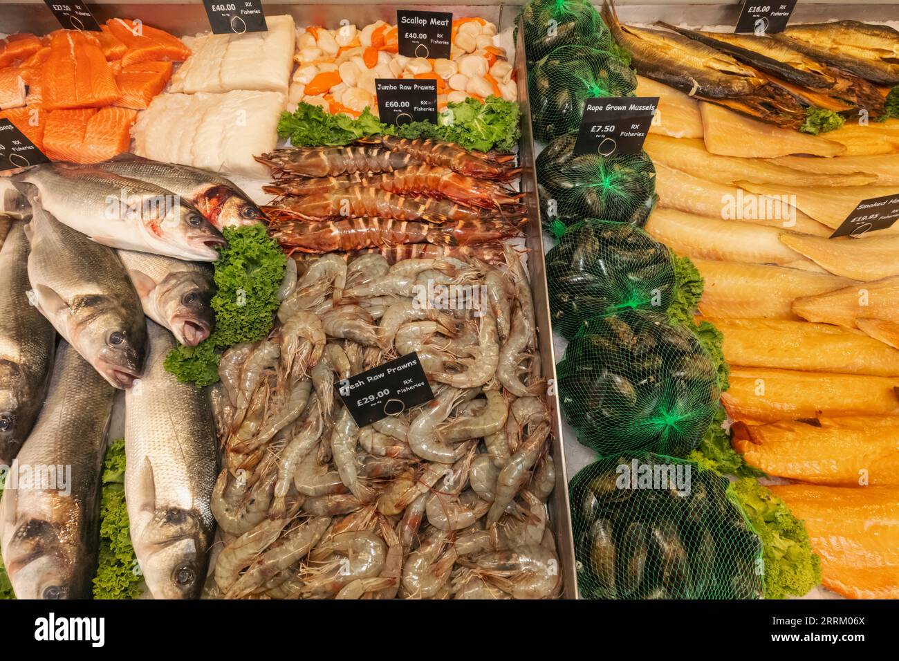 Inghilterra, Sussex, East Sussex, Hastings, il centro storico, The Stade, mostra di pesce nel RX Fisheries Seafood Shop Foto Stock