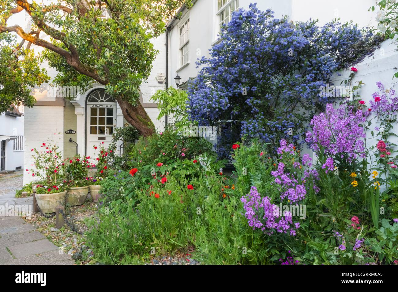 Inghilterra, Sussex, East Sussex, Rye, porta alla casa di St.Mary con fiori in fiore Foto Stock