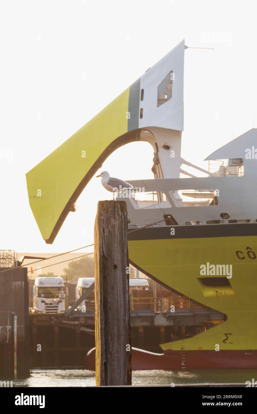 Inghilterra, Sussex, East Sussex, Newhaven, DFDS Seaways nave Cote D'Albatre ad Anchor Foto Stock