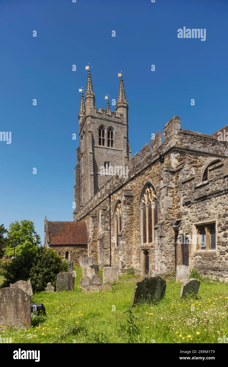 Inghilterra, Kent, Tenterden, St Mildred's Church Foto Stock