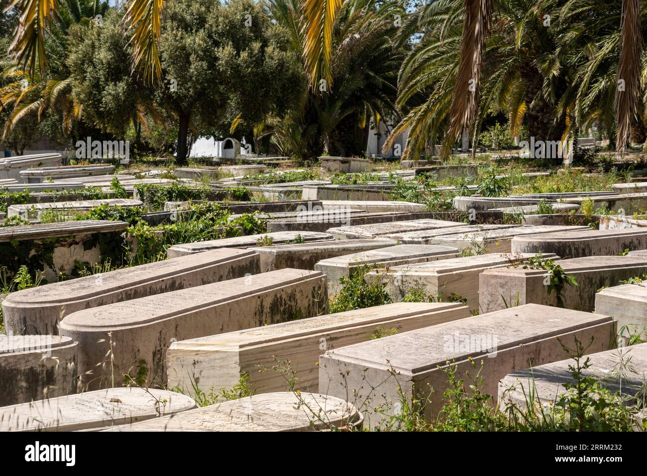 Il cimitero ebraico nel centro della città di Tangeri, in Marocco Foto Stock