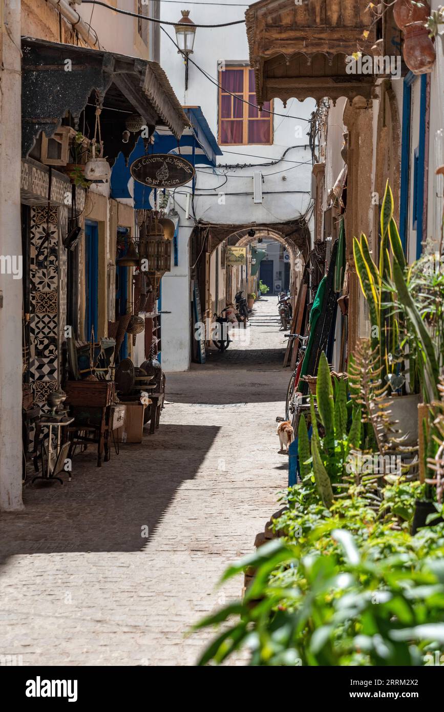 Vicolo idilliaco nella medina di Essaouira, Marocco Foto Stock