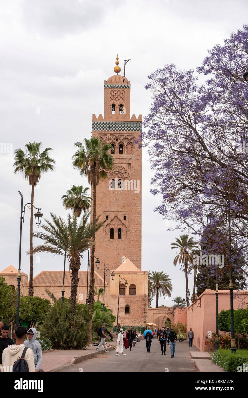 Minareto della famosa moschea di Koutoubia nel centro di Marrakech, Marocco Foto Stock