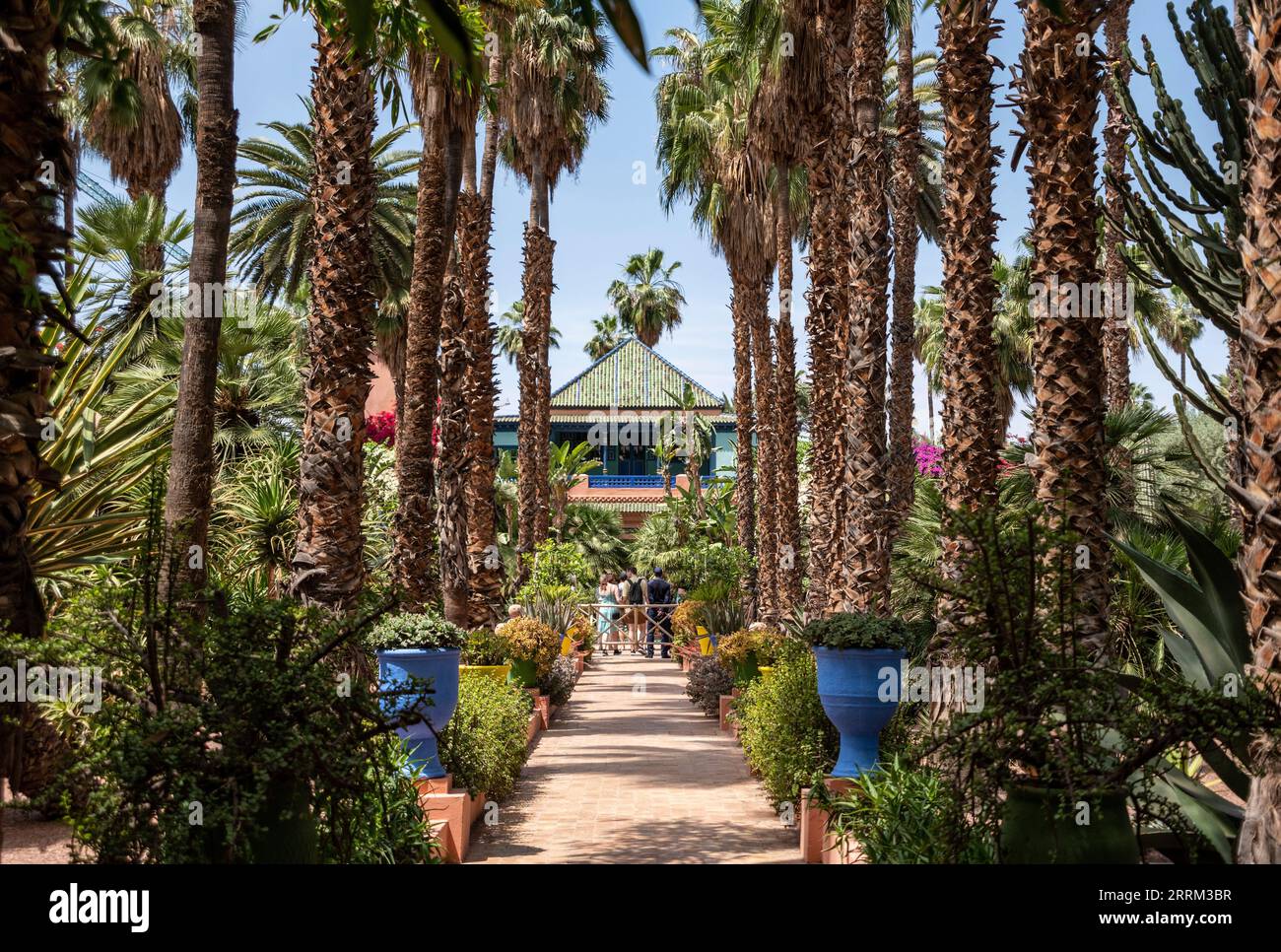 Marrakech, Marocco, il famoso Jardin Majorelle presso la villa di Yves Saint Laurent Foto Stock