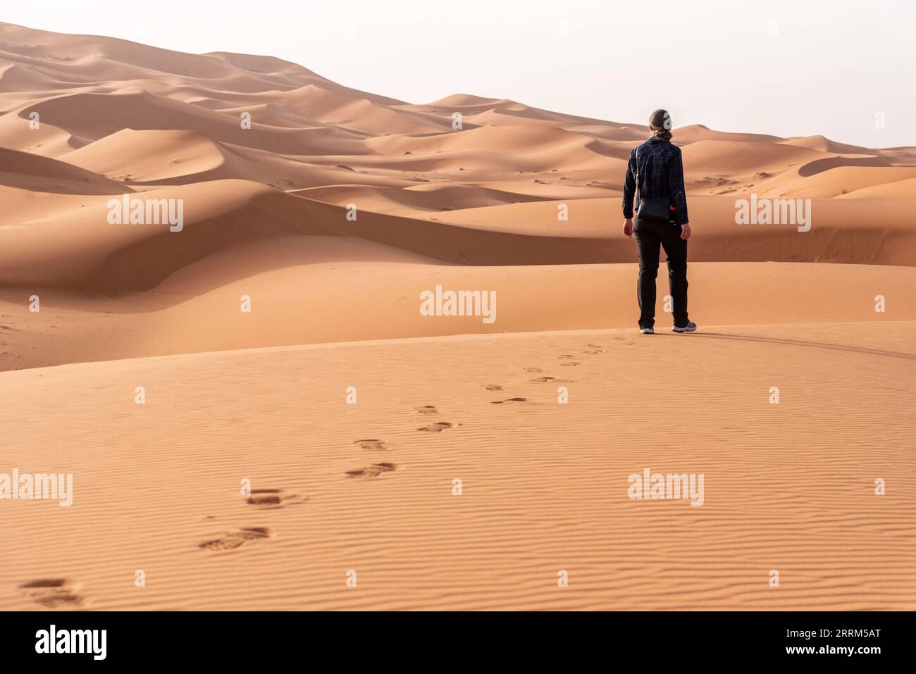 Una persona che cammina attraverso il deserto di Erg Chebbi nel Sahara Africano, Marocco Foto Stock