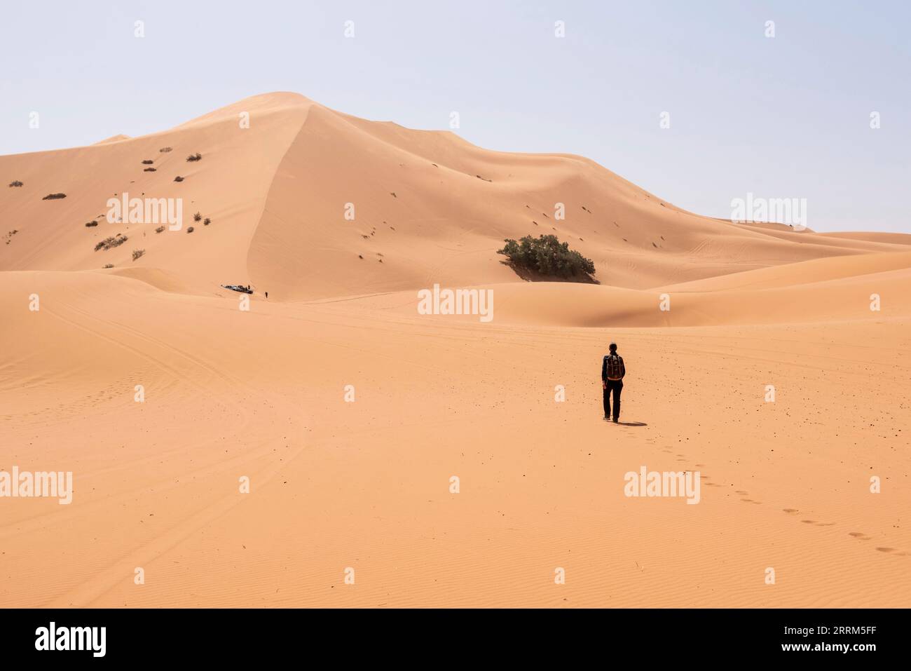 Escursioni sulla Grande Duna di Merzouga nel deserto di Erg Chebbi, deserto del Sahara marocchino Foto Stock
