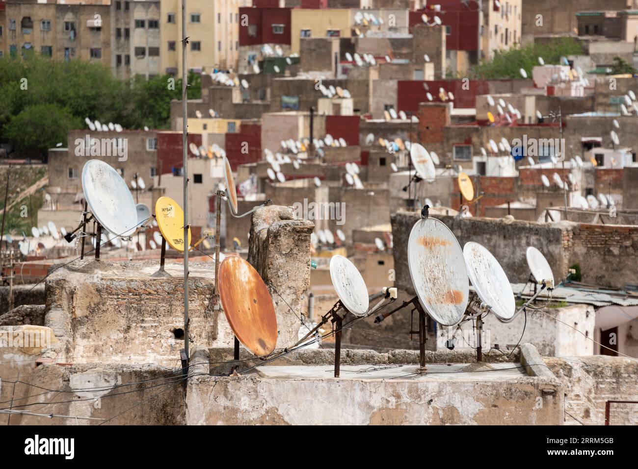 Piatti satellitari sui tetti di case residenziali nella medina di Fes, Marocco Foto Stock