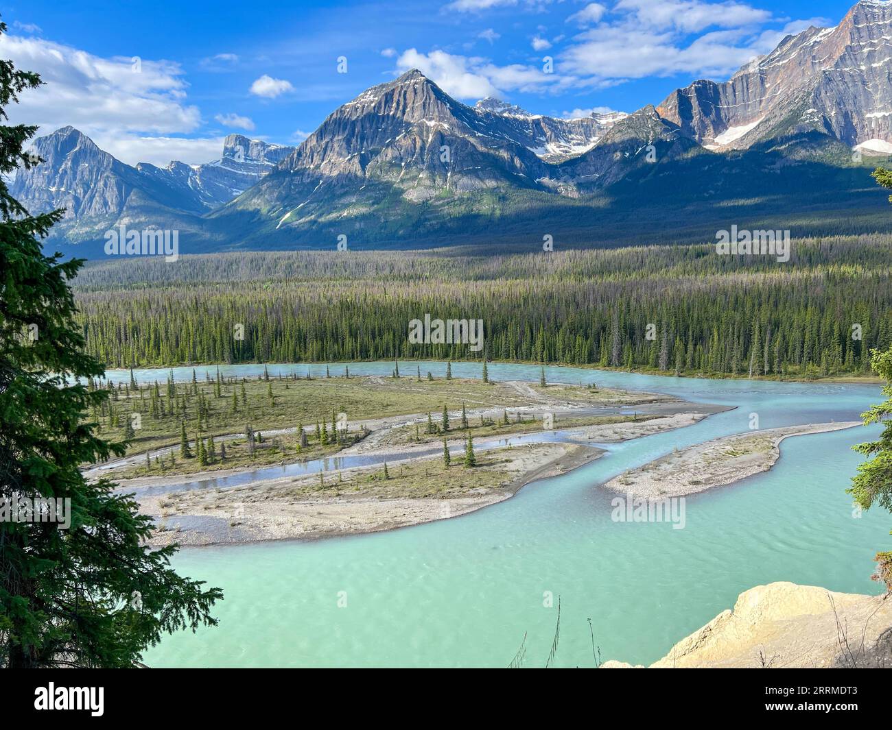 Il fiume Athabasca e le montagne circostanti lungo l'Ice Fields Parkway nel Jasper National Park in Canada Foto Stock