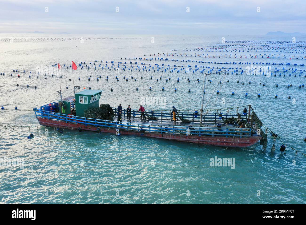 221027 -- XIAPU, 27 ottobre 2022 -- questa foto aerea scattata il 22 ottobre 2022 mostra i pescatori che raccolgono ostriche in una fattoria marina nella contea di Xiapu, nella provincia del Fujian del sud-est della Cina. La zona marina della contea di Xiapu è entrata nella stagione di punta del raccolto autunnale. Le barche viaggiano attraverso una vasta area di acquacoltura, raccogliendo prodotti acquatici come lavre e ostriche, dall'alba al tramonto. CINA-FUJIAN-XIAPU-ACQUACOLTURA-RACCOLTO CN JIANGXKEHONG PUBLICATIONXNOTXINXCHN Foto Stock 221027 -- XIAPU, 27 ottobre 2022 -- questa foto aerea scattata il 22 ottobre 2022 mostra i pescatori che raccolgono ostriche in una fattoria marina nella contea di Xiapu, nella provincia del Fujian del sud-est della Cina. La zona marina della contea di Xiapu è entrata nella stagione di punta del raccolto autunnale. Le barche viaggiano attraverso una vasta area di acquacoltura, raccogliendo prodotti acquatici come lavre e ostriche, dall'alba al tramonto. CINA-FUJIAN-XIAPU-ACQUACOLTURA-RACCOLTO CN JIANGXKEHONG PUBLICATIONXNOTXINXCHN Foto Stock