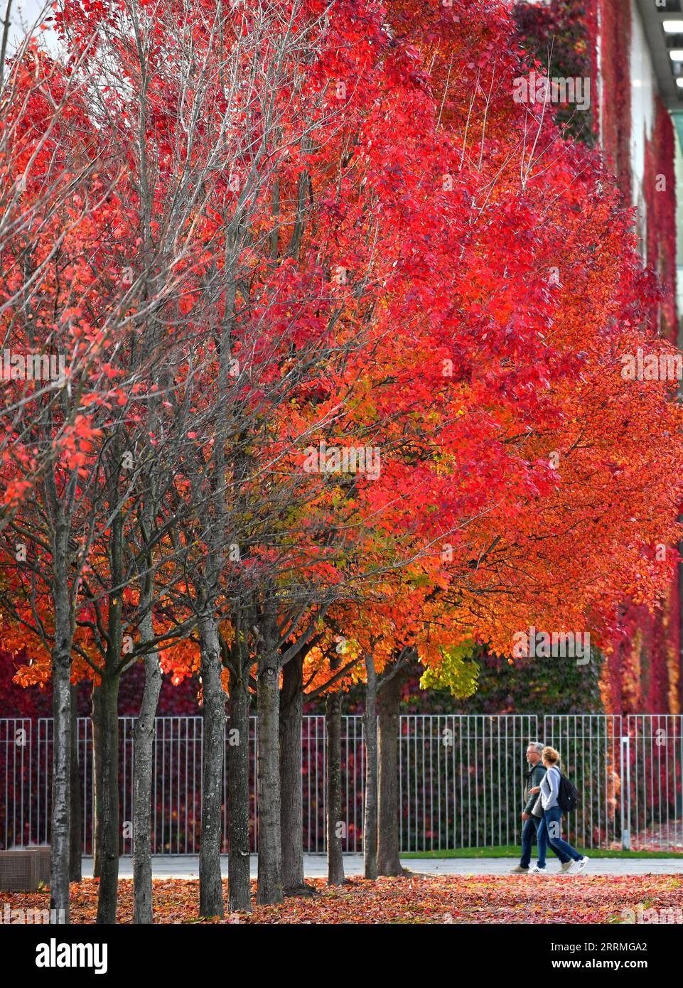 221029 -- BERLINO, 29 ottobre 2022 -- la gente cammina in una strada a Berlino, capitale della Germania, il 27 ottobre 2022. GERMANIA-BERLINO-PAESAGGIO AUTUNNALE RenxPengfei PUBLICATIONxNOTxINxCHN Foto Stock