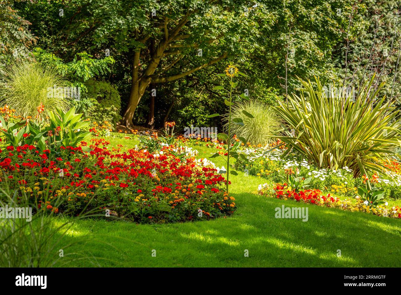 Splendido e tranquillo paesaggio con alberi e piante vivaci al Nottingham Arboretum, Regno Unito. Foto Stock