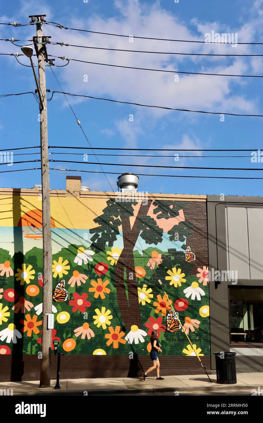 Graffiti Street art su un grande muro nel centro di Lakewood, Ohio Foto Stock