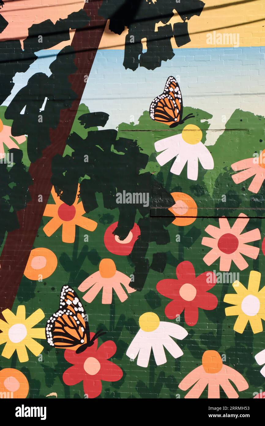 Dettaglio della Street art dei graffiti su una grande parete nel centro di Lakewood, Ohio Foto Stock