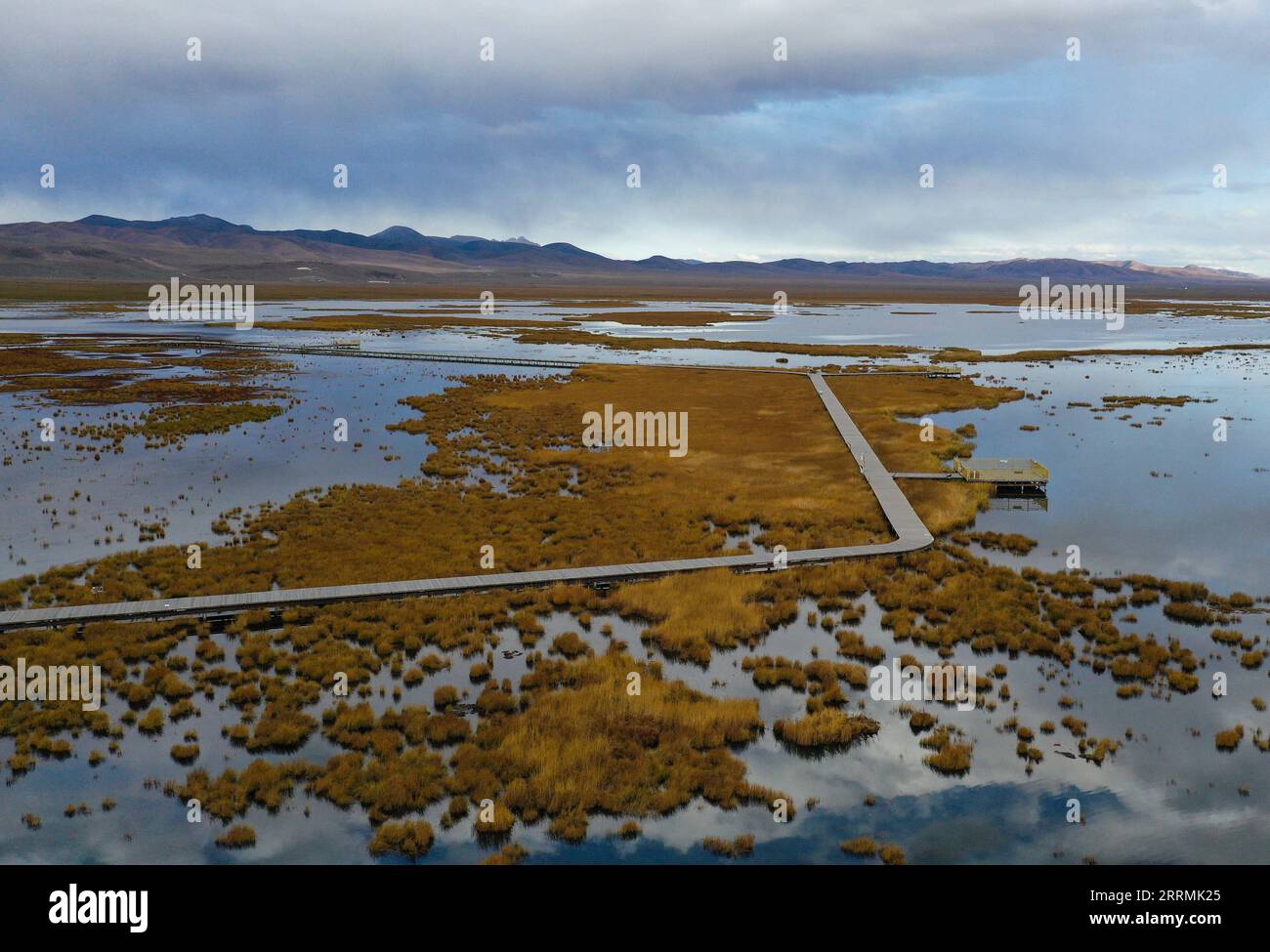221103 -- ABA, 3 novembre 2022 -- questa foto aerea scattata il 18 ottobre 2022 mostra una vista della zona umida del lago Huahu nella contea di Ruoergai della prefettura autonoma di Aba Tibetan-Qiang, nella provincia del Sichuan della Cina sud-occidentale. La riserva naturale nazionale delle paludi di Ruoergai è stata istituita per proteggere l'ecosistema locale delle paludi torbiere e specie rare come la gru a collo nero. Nota per le vaste praterie punteggiate da tortuosi fiumi, laghi e paludi, questa riserva naturale è diventata una a livello nazionale nel 1998 ed è stata designata come zona umida di importanza internazionale nel 2008. L'ambiente ecologico di un Foto Stock