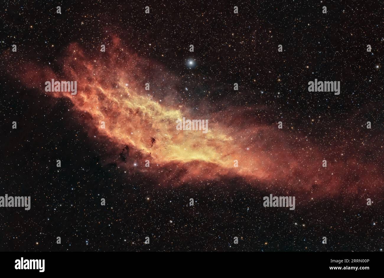 Cattura le vivaci sfumature della Nebulosa californiana con dettagli mozzafiato. Un capolavoro cosmico a milioni di anni luce di distanza. Foto Stock