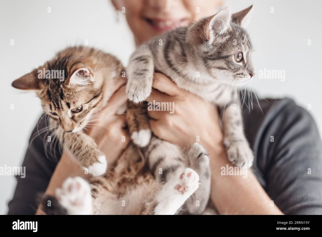 Donna che tiene in mano due gattini carini. Foto Stock