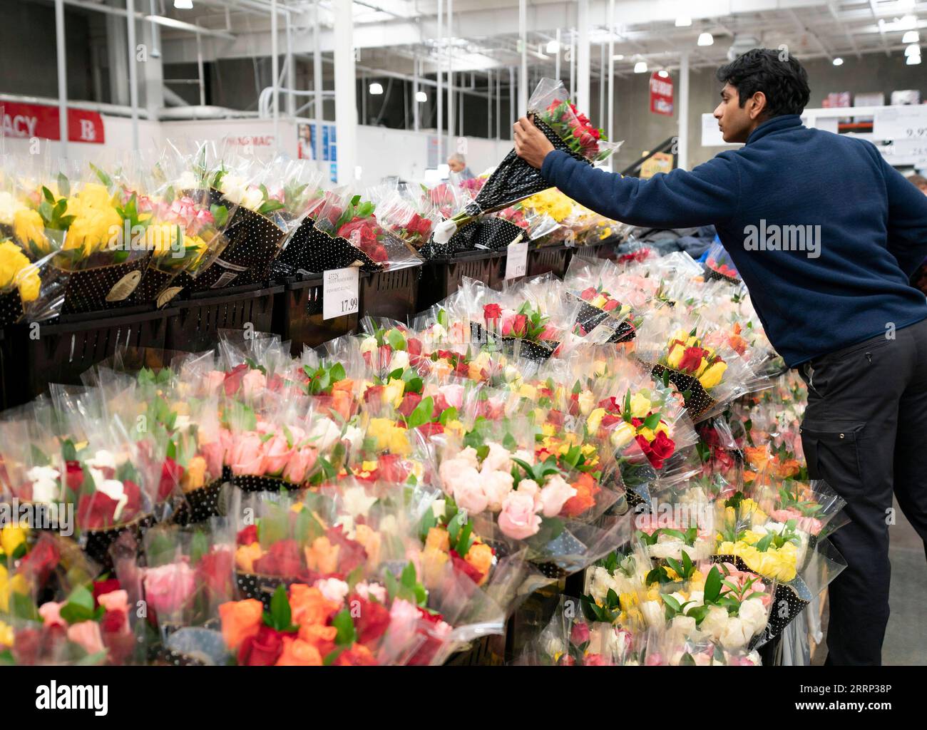 230215 -- FOSTER CITY, 15 febbraio 2023 -- Un uomo compra fiori in occasione di San Valentino in un supermercato a Foster City in California, Stati Uniti, 14 febbraio 2023. Foto di /Xinhua U.S.-FOSTER CITY-SAN VALENTINO-FIORI LixJianguo PUBLICATIONxNOTxINxCHN Foto Stock