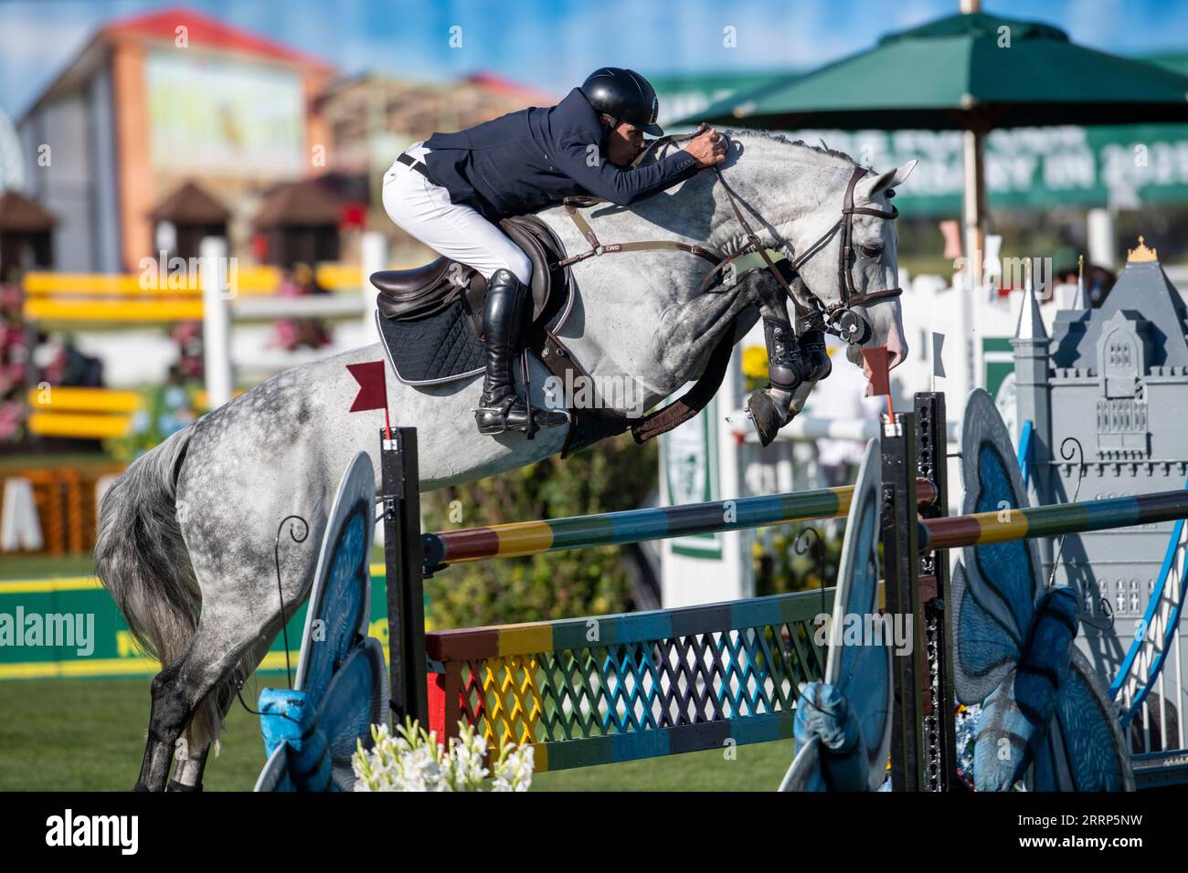 Calgary, Alberta, Canada, 8 settembre 2023. Santiago Lambre (BRA) in sella a Zeusz, The Masters, Spruce Meadows - Credit: Peter Llewellyn/Alamy Live News Foto Stock