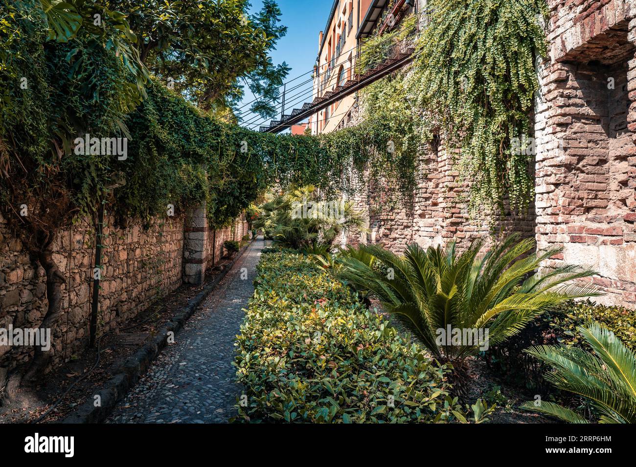 pareti in pietra e mattoni lungo marciapiede pavimentato con alberi in una soleggiata giornata estiva Foto Stock