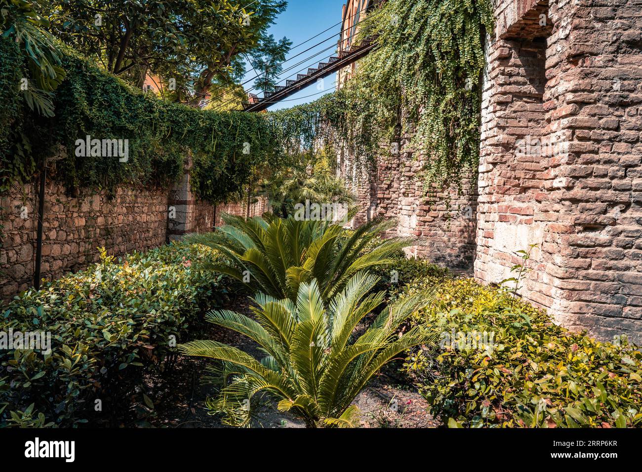 pareti in pietra e mattoni lungo marciapiede pavimentato con alberi in una soleggiata giornata estiva Foto Stock