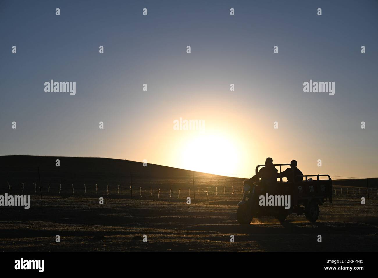 230403 -- XILINGOL LEAGUE, 3 aprile 2023 -- Herdsman Tsogdelger e suo cugino Davxilt trasportano foraggio con moto in West Ujimqin Banner della Xilingol League, regione autonoma della Mongolia interna della Cina settentrionale, 28 marzo 2023. In primavera, la stagione più movimentata dell'anno, Tsogdelger, un allevatore del gruppo etnico mongolo, e la sua famiglia hanno bisogno di assistere con agnello e nutrire il bestiame ogni giorno. Più di 280 agnelli sono nati nella sua fattoria dal 18 marzo. Dall'inizio di quest'anno fino al marzo 30, un totale di 581.300 figli sono nati a West Ujimqin Banner, di cui 100.900 grandi viventi Foto Stock
