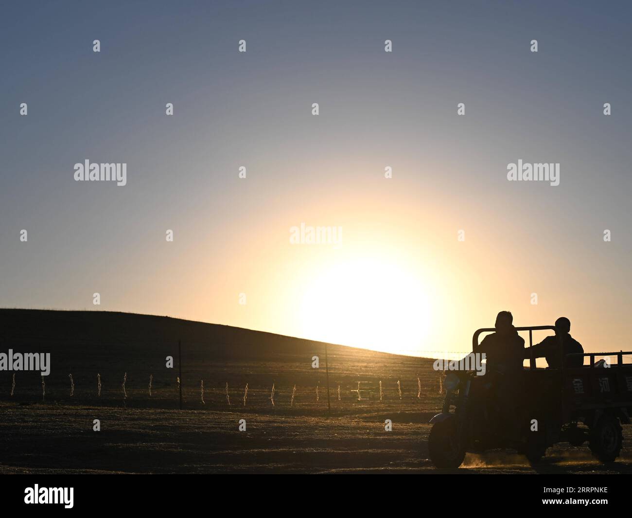 230403 -- XILINGOL LEAGUE, 3 aprile 2023 -- Herdsman Tsogdelger e suo cugino Davxilt trasportano foraggio con moto in West Ujimqin Banner della Xilingol League, regione autonoma della Mongolia interna della Cina settentrionale, 28 marzo 2023. In primavera, la stagione più movimentata dell'anno, Tsogdelger, un allevatore del gruppo etnico mongolo, e la sua famiglia hanno bisogno di assistere con agnello e nutrire il bestiame ogni giorno. Più di 280 agnelli sono nati nella sua fattoria dal 18 marzo. Dall'inizio di quest'anno fino al marzo 30, un totale di 581.300 figli sono nati a West Ujimqin Banner, di cui 100.900 grandi viventi Foto Stock