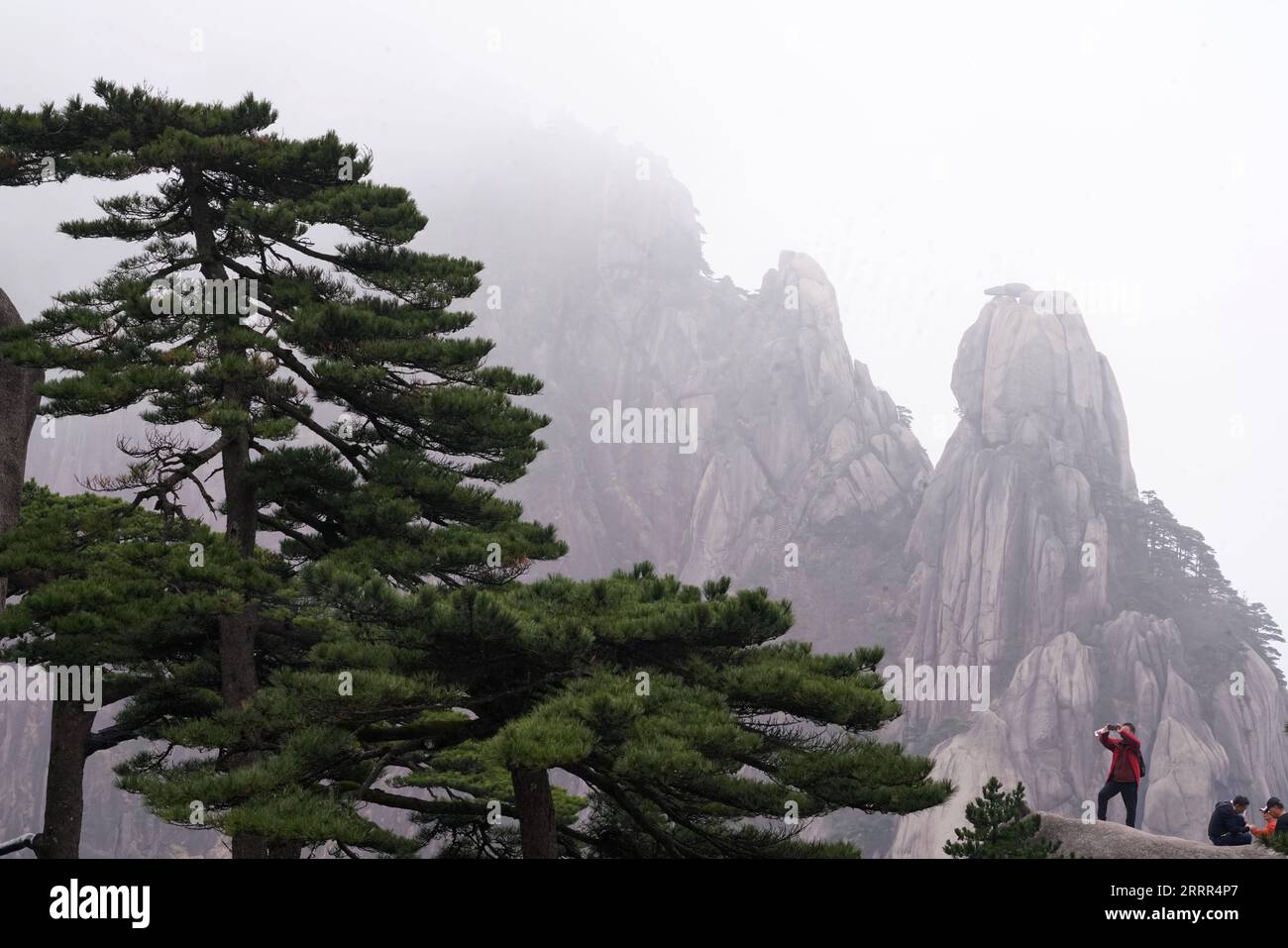 230503 -- HUANGSHAN, 3 maggio 2023 -- Un turista scatta foto di pini sul monte Huangshan nella provincia di Anhui della Cina orientale, 11 aprile 2023. Huangshan, una delle montagne più famose della Cina, è conosciuta per la sua maestosa bellezza paesaggistica, le strane rocce, le cime ricoperte di nubi e gli antichi pini. È stato dichiarato patrimonio dell'umanità dall'UNESCO nel 1990. CHINA-ANHUI-HUANGSHAN MOUNTAIN CN MaxNing PUBLICATIONxNOTxINxCHN Foto Stock