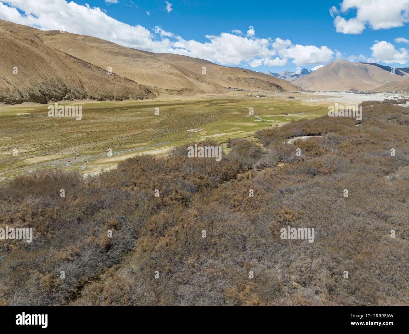 230525 -- LHASA, 25 maggio 2023 -- questa foto aerea scattata il 25 maggio 2023 mostra una foresta di spinaci marini e zone umide nella riserva naturale nazionale di Qomolangma, nella regione autonoma del Tibet della Cina sud-occidentale. L'ecologia della regione del Monte Qomolangma continua a migliorare, dato che la Cina ha fatto progressi nel campo della protezione ecologica e ambientale nel corso degli anni, hanno affermato gli esperti mentre la ricerca scientifica sul picco più alto del mondo continua. PER ANDARE CON MT. Regione di Qomolangma testimoni di miglioramento dell'ambiente ecologico: Esperti CINA-MOUNT QOMOLANGMA-ECOLOGICO AMBIENTE CN SunxFei PUBLICATIONxNOTxINxCHN Foto Stock