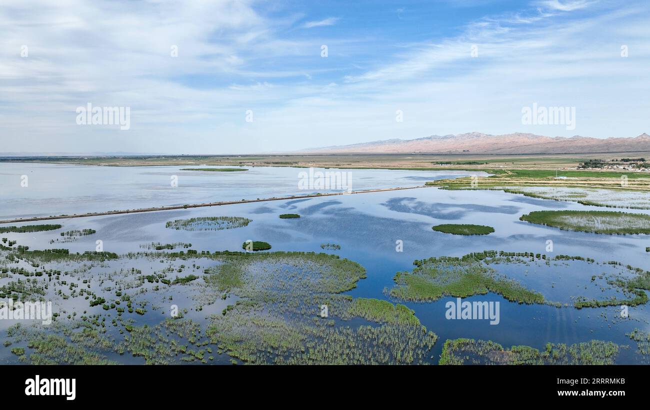 230604 -- BAYANNUR, 4 giugno 2023 -- questa foto aerea scattata il 4 giugno 2023 mostra il paesaggio del lago Ulan Suhai a Urad Front Banner a Bayannur, nella regione autonoma della Mongolia interna della Cina settentrionale. CHINA-INNER MONGOLIA-ULAN SUHAI LAKE-LANDSCAPE CN BEIXHE PUBLICATIONXNOTXINXCHN Foto Stock