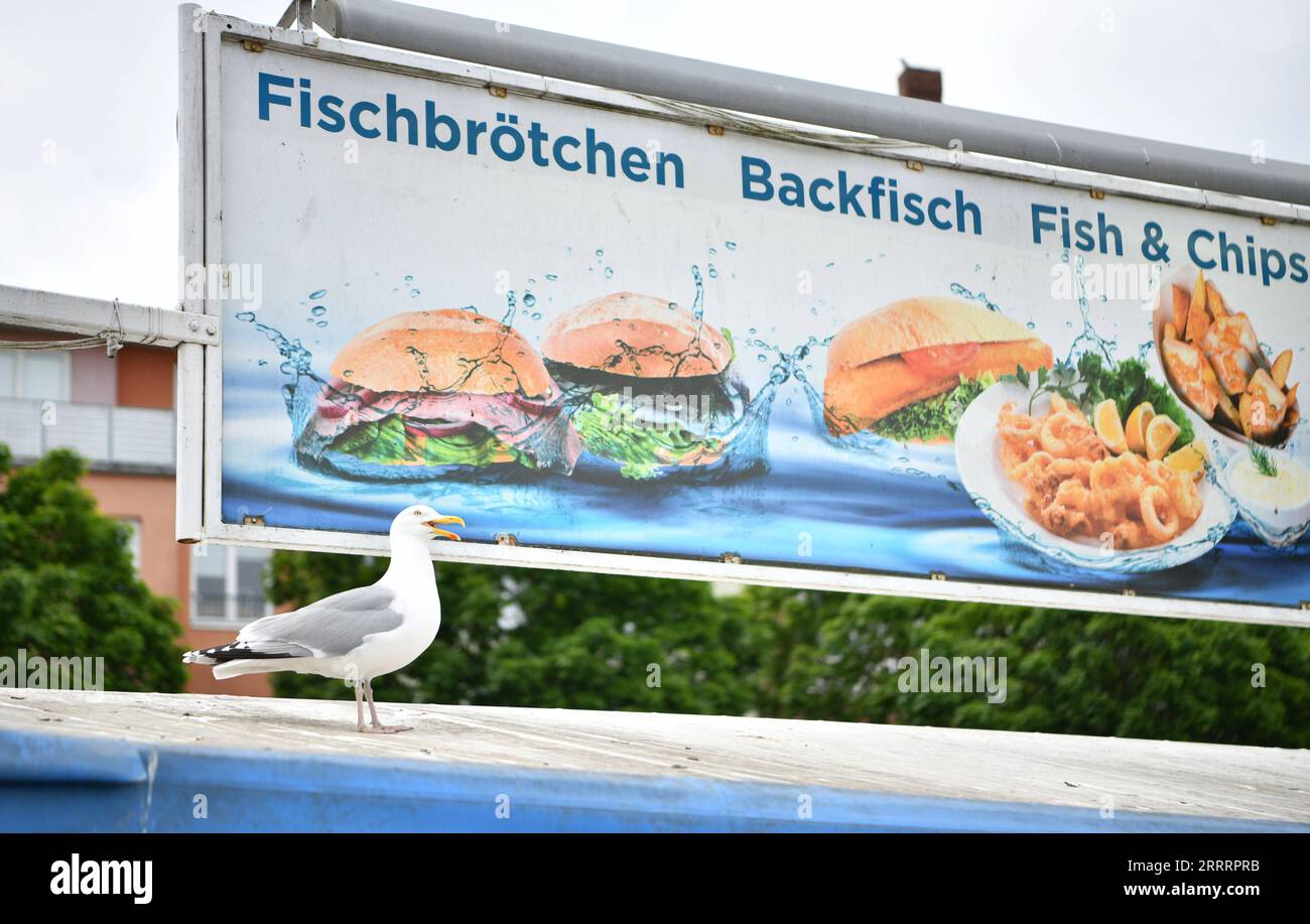 230610 -- BERLINO, 10 giugno 2023 -- Un gabbiano di mare riposa sul tetto di un fast food a Stralsund, Germania nord-orientale, 1 giugno 2023. GERMANIA-STRALSUND-VIEW RenxPengfei PUBLICATIONxNOTxINxCHN Foto Stock