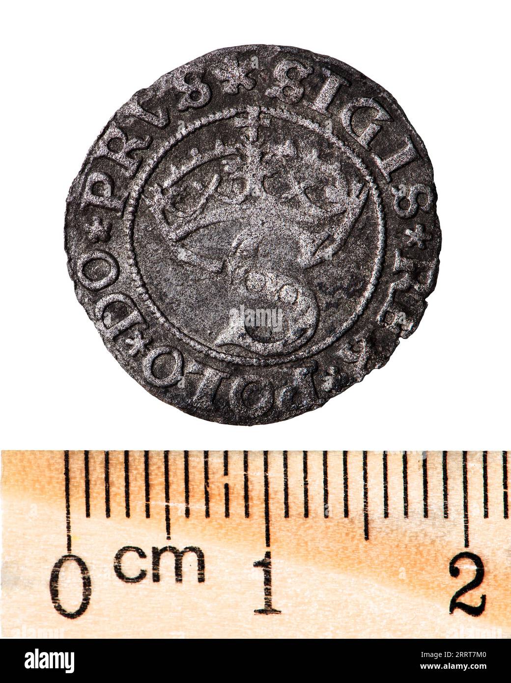 Moneta polacca in argento antico. Re Sigismondo i Vecchio. Dritto. Isolato su bianco Foto Stock