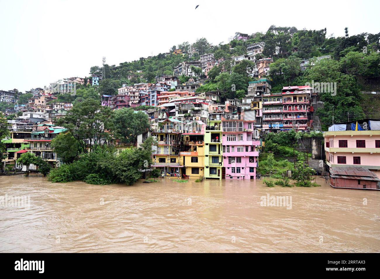 230711 -- HIMACHAL PRADESH, 11 luglio 2023 -- questa foto scattata il 10 luglio 2023 mostra le strutture di tronchi d'acqua nel distretto di Mandi, nello stato indiano dell'Himachal Pradesh. Le forti piogge hanno innescato frane, inondazioni e inondazioni nello stato settentrionale indiano dell'Himachal Pradesh, uccidendo almeno nove persone negli ultimi due giorni, hanno detto lunedì i funzionari. Str/Xinhua INDIA-HIMACHAL PRADESH-FLASHING FLOODS JavedxDar PUBLICATIONxNOTxINxCHN Foto Stock