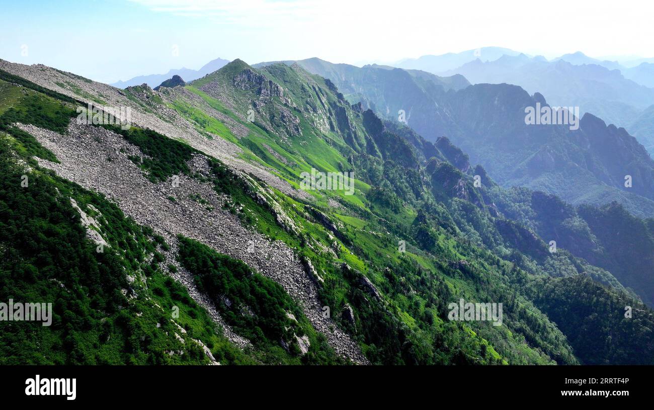 230722 -- XI AN, 22 luglio 2023 -- questa foto aerea scattata il 21 luglio 2023 mostra il paesaggio del Parco Nazionale della Foresta di Zhuque a Xi An, nella provincia dello Shaanxi della Cina nord-occidentale. Il parco, situato nel corso superiore del fiume Laohe orientale e nel nord dei monti Qinling, copre un'area di 2.621 ettari, e il suo punto più alto il picco Bingjing ha un'altitudine di 3.015 metri. Lungo la strada che conduce alla vetta si possono ammirare paesaggi incredibili come la foresta vergine, i resti di ghiacciai e il mare nuvoloso. CHINA-SHAANXI-ZHUQUE NATIONAL PARK-SCENIC CN LIUXXIAO PUBLICATIONXNOTXINXCHN Foto Stock