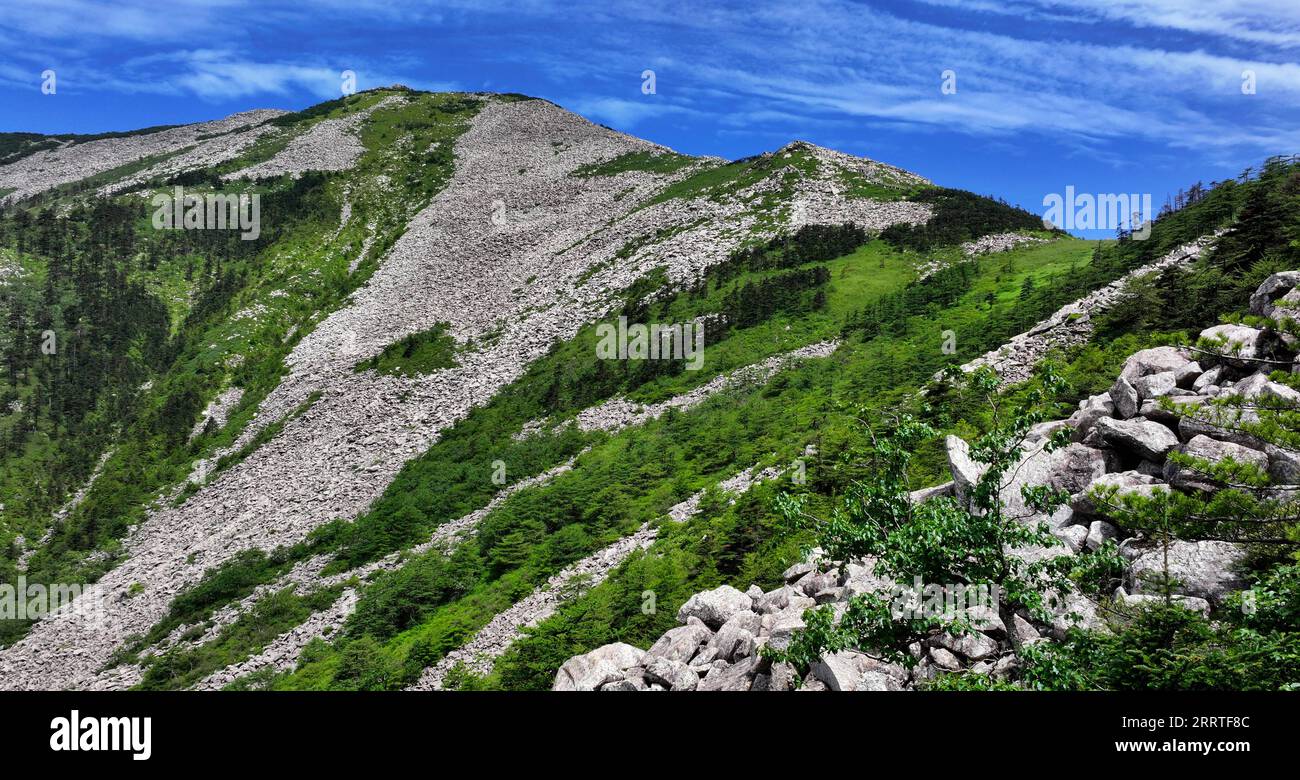 230722 -- XI AN, 22 luglio 2023 -- questa foto aerea scattata il 21 luglio 2023 mostra il paesaggio del Parco Nazionale della Foresta di Zhuque a Xi An, nella provincia dello Shaanxi della Cina nord-occidentale. Il parco, situato nel corso superiore del fiume Laohe orientale e nel nord dei monti Qinling, copre un'area di 2.621 ettari, e il suo punto più alto il picco Bingjing ha un'altitudine di 3.015 metri. Lungo la strada che conduce alla vetta si possono ammirare paesaggi incredibili come la foresta vergine, i resti di ghiacciai e il mare nuvoloso. CHINA-SHAANXI-ZHUQUE NATIONAL PARK-SCENIC CN LIUXXIAO PUBLICATIONXNOTXINXCHN Foto Stock