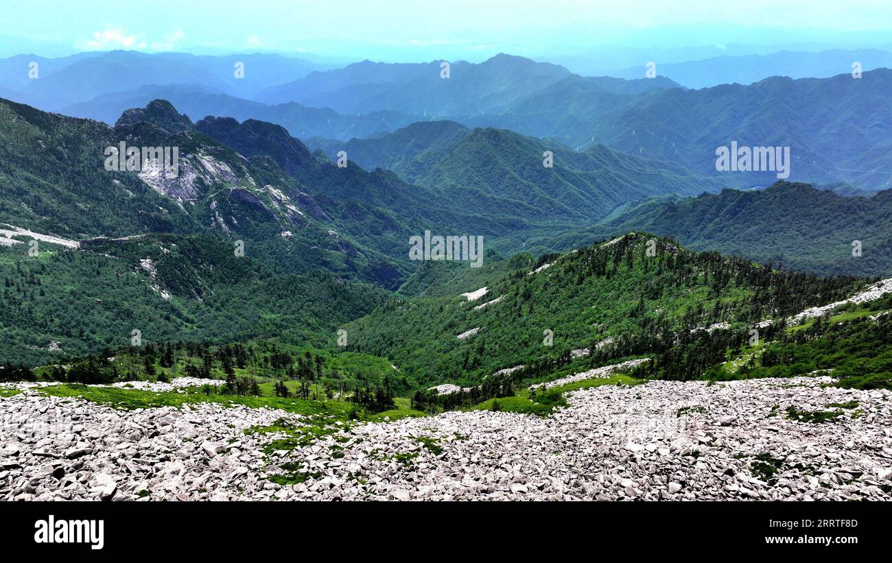 230722 -- XI AN, 22 luglio 2023 -- questa foto aerea scattata il 21 luglio 2023 mostra il paesaggio del Parco Nazionale della Foresta di Zhuque a Xi An, nella provincia dello Shaanxi della Cina nord-occidentale. Il parco, situato nel corso superiore del fiume Laohe orientale e nel nord dei monti Qinling, copre un'area di 2.621 ettari, e il suo punto più alto il picco Bingjing ha un'altitudine di 3.015 metri. Lungo la strada che conduce alla vetta si possono ammirare paesaggi incredibili come la foresta vergine, i resti di ghiacciai e il mare nuvoloso. CHINA-SHAANXI-ZHUQUE NATIONAL PARK-SCENIC CN LIUXXIAO PUBLICATIONXNOTXINXCHN Foto Stock