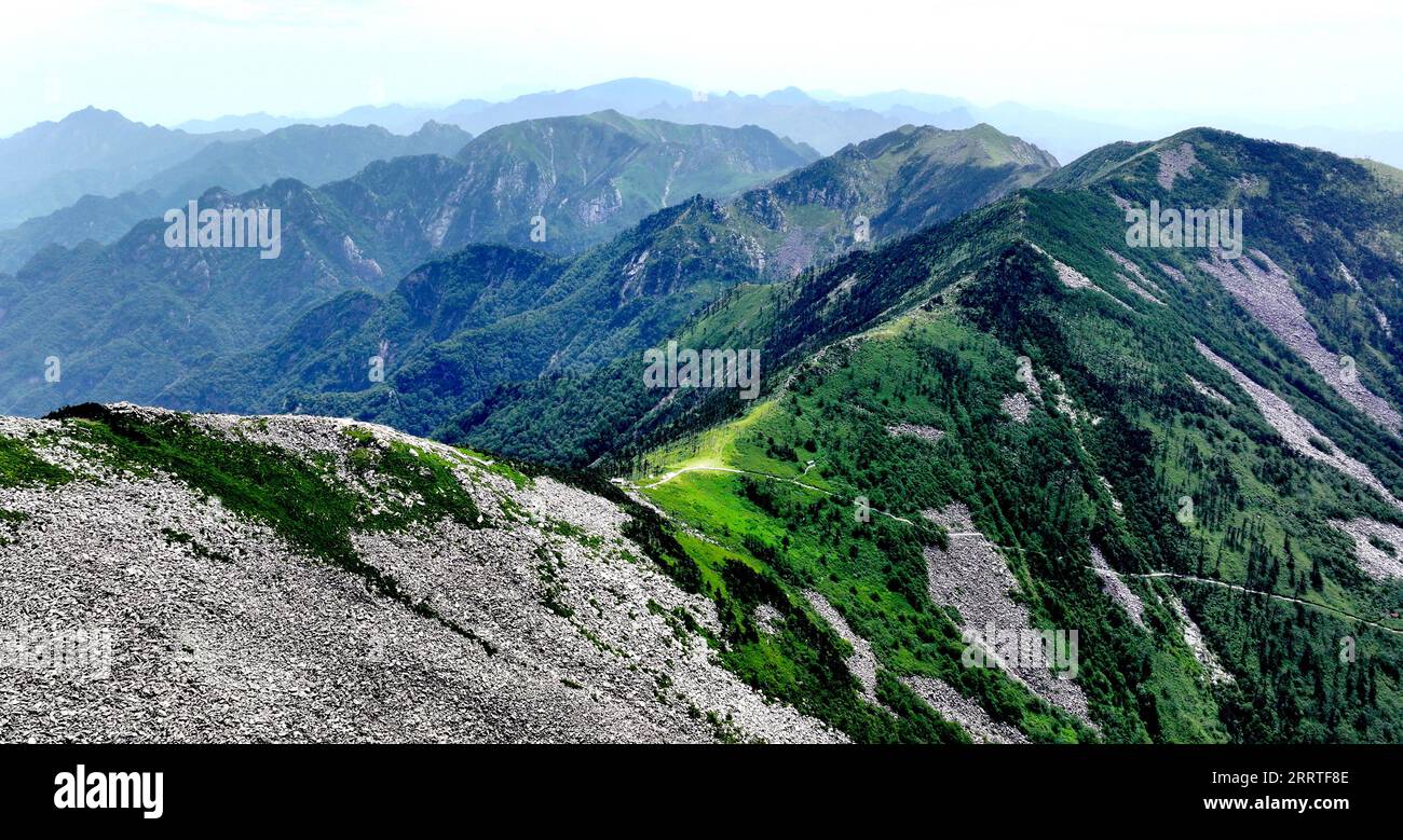 230722 -- XI AN, 22 luglio 2023 -- questa foto aerea scattata il 21 luglio 2023 mostra rocce, mare e altopiani al Parco Nazionale della Foresta di Zhuque a Xi An, nella provincia dello Shaanxi della Cina nord-occidentale. Il parco, situato nel corso superiore del fiume Laohe orientale e nel nord dei monti Qinling, copre un'area di 2.621 ettari, e il suo punto più alto il picco Bingjing ha un'altitudine di 3.015 metri. Lungo la strada che conduce alla vetta si possono ammirare paesaggi incredibili come la foresta vergine, i resti di ghiacciai e il mare nuvoloso. CHINA-SHAANXI-ZHUQUE NATIONAL PARK-SCENIC CN LIUXXIAO PUBLICATIONXNOTXINXCHN Foto Stock