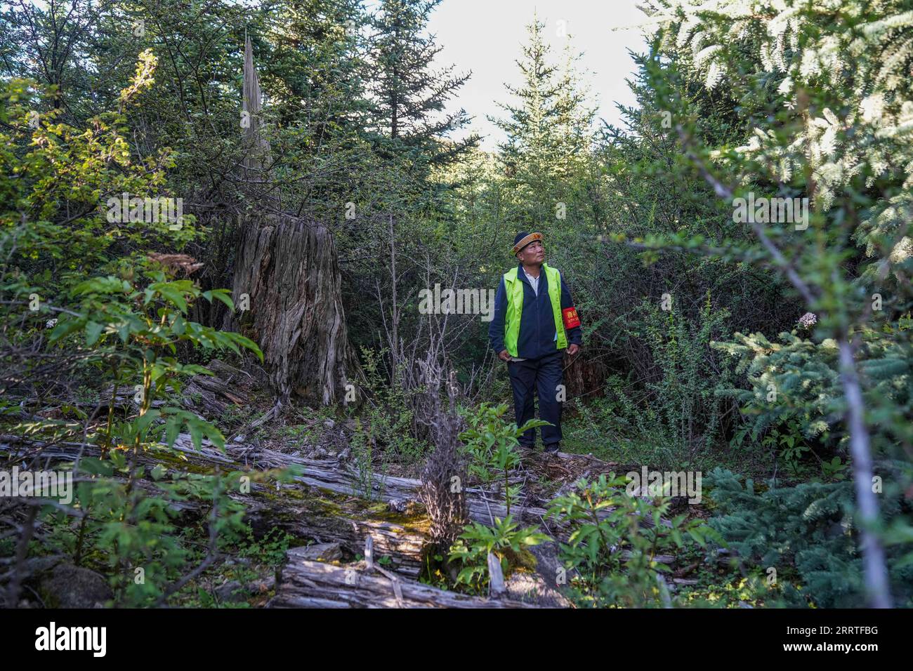 230722 -- NYINGCHI, 22 luglio 2023 -- pattuglie nella foresta nel villaggio di Gaiba nella contea di Gongbo Gyamda nella città di Nyingchi, nella regione autonoma del Tibet della Cina sud-occidentale, 20 luglio 2023. Gaiba Village si trova vicino al Basomtso, un'attrazione turistica nazionale 5A. Negli anni '1980 e '1990, gli abitanti locali qui si affidavano principalmente al taglio di legname per guadagnare soldi. Grazie agli sforzi del governo locale per proteggere l'ambiente ecologico, sono state costruite delle stazioni di prevenzione degli incendi boschivi nell'ex sito del deposito forestale e gli alberi sono stati ripiantati sui terreni abbattuti lungo l'autostrada. Al momento, touris Foto Stock