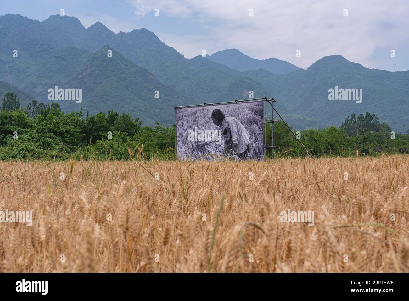 230727 -- XI AN, 27 luglio 2023 -- questa foto mostra una creazione d'arte in un campo di grano al Caijiapo Village nel distretto di Huyi, Xi An, capitale della provincia dello Shaanxi della Cina nord-occidentale. Xinhua prima pagina: L'arte d'avanguardia ravviva la Cina rurale in mezzo alla spinta rivitalizzatrice XinxHua PUBLICATIONxNOTxINxCHN Foto Stock